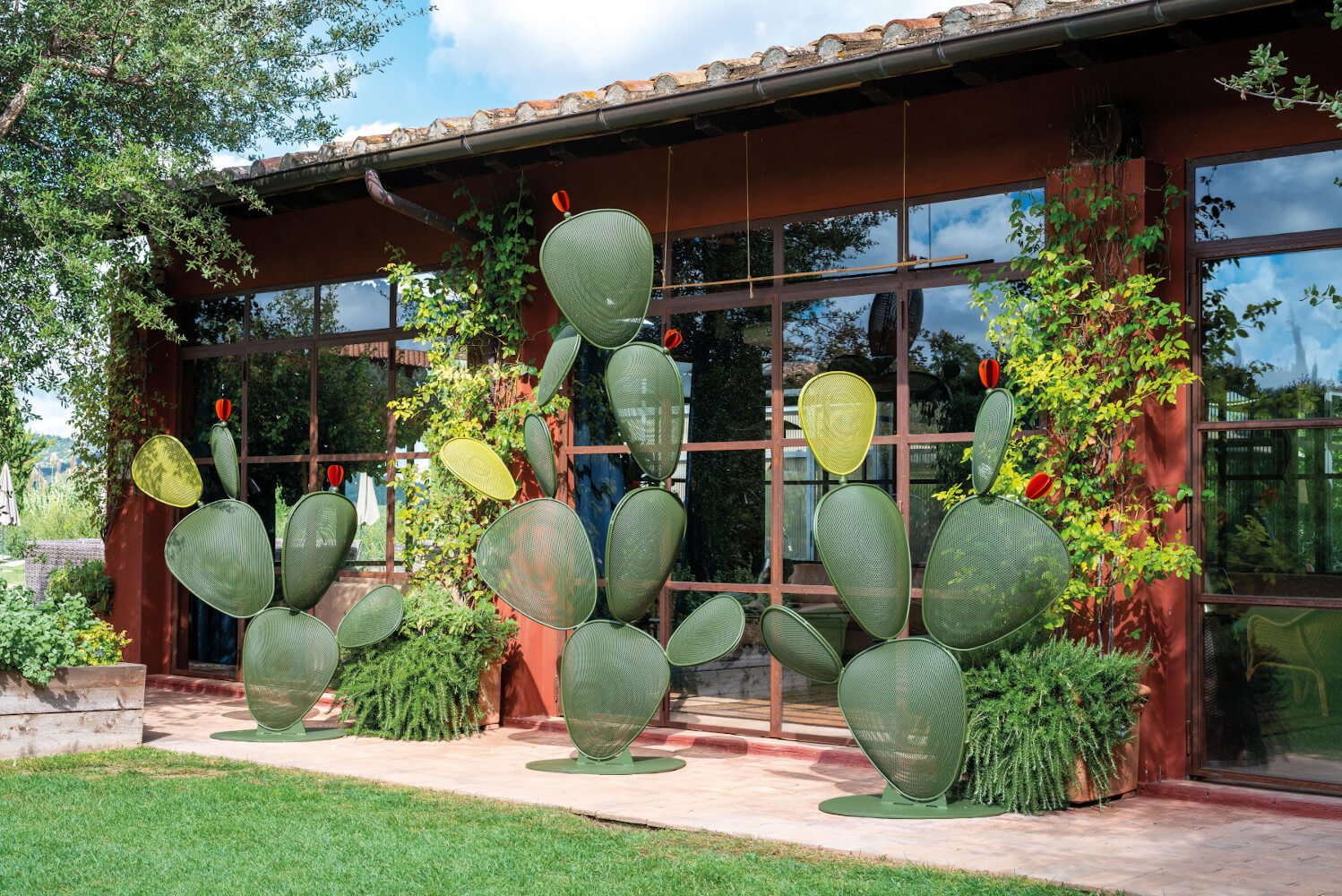Ficus Kaktus Erweiterungsmodul