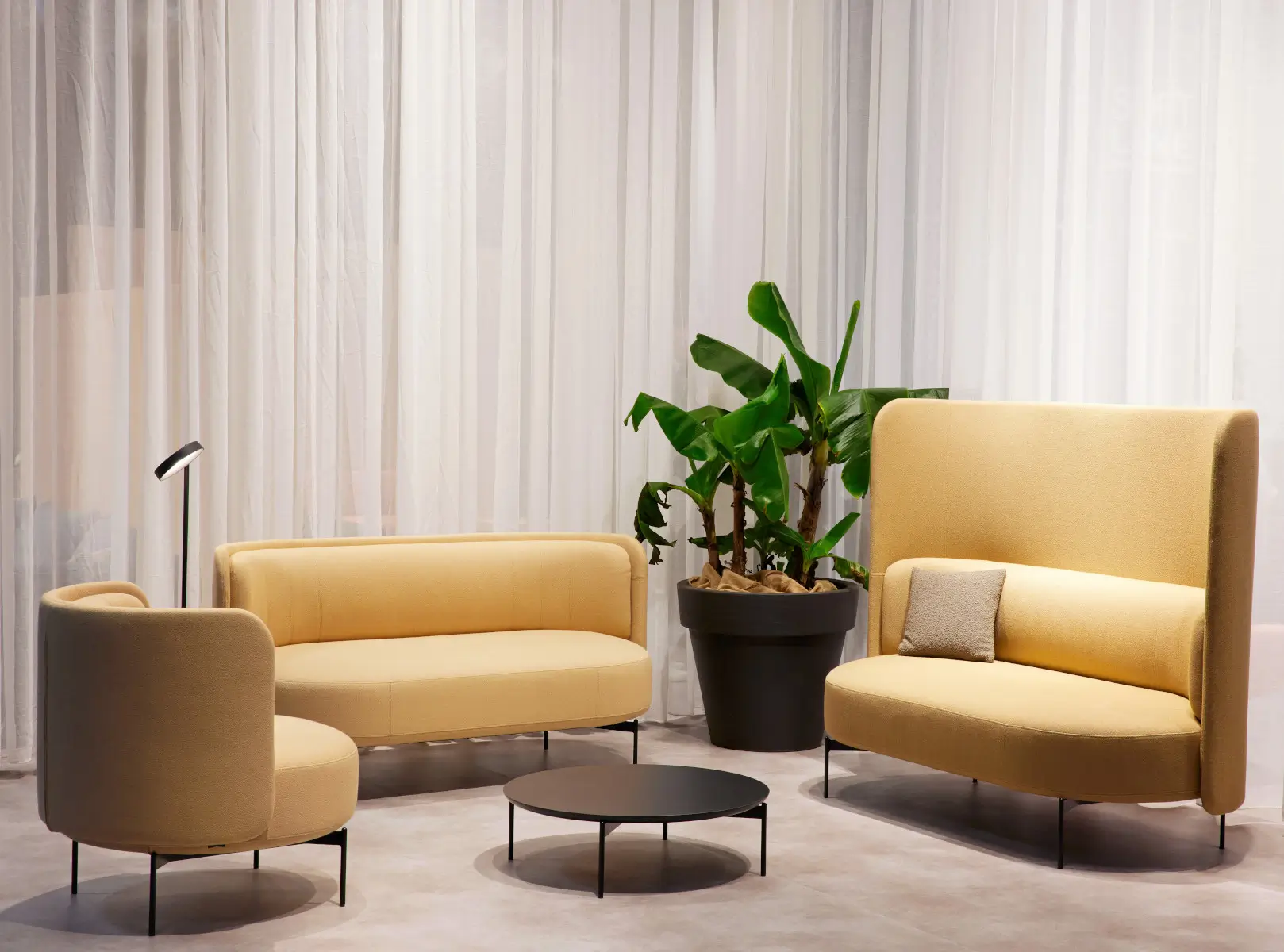 Softline Joe Sessel Niedrig in Beige in einer modernen Lounge-Szene mit passenden Sofas, schwarzem Couchtisch und großer Zimmerpflanze.