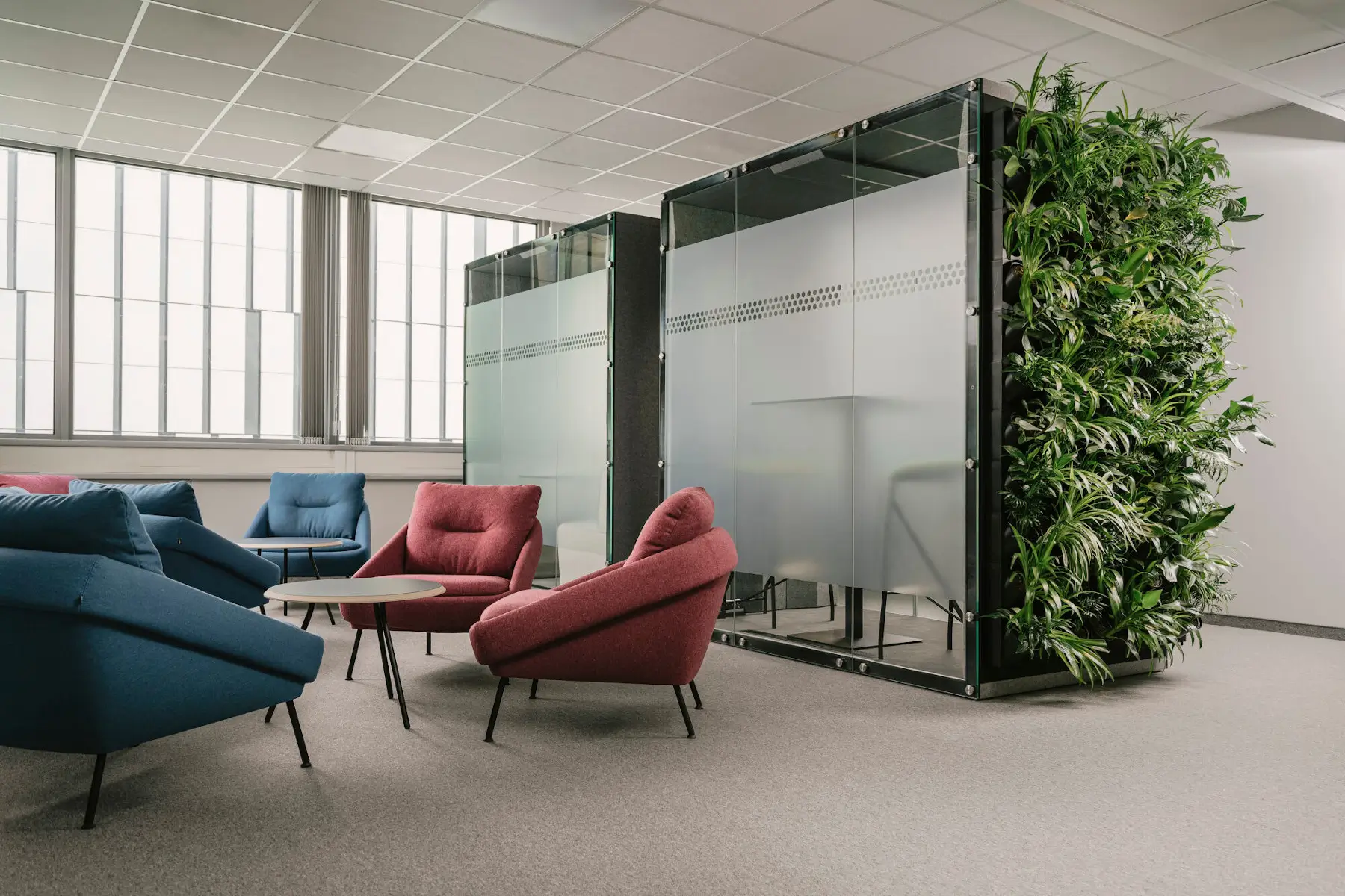Noti Nome Sessel mit dunklen Holzbeinen und roten sowie blauen Polsterbezügen in einer modernen Büro-Lounge mit Glastrennwänden und Pflanzenwand