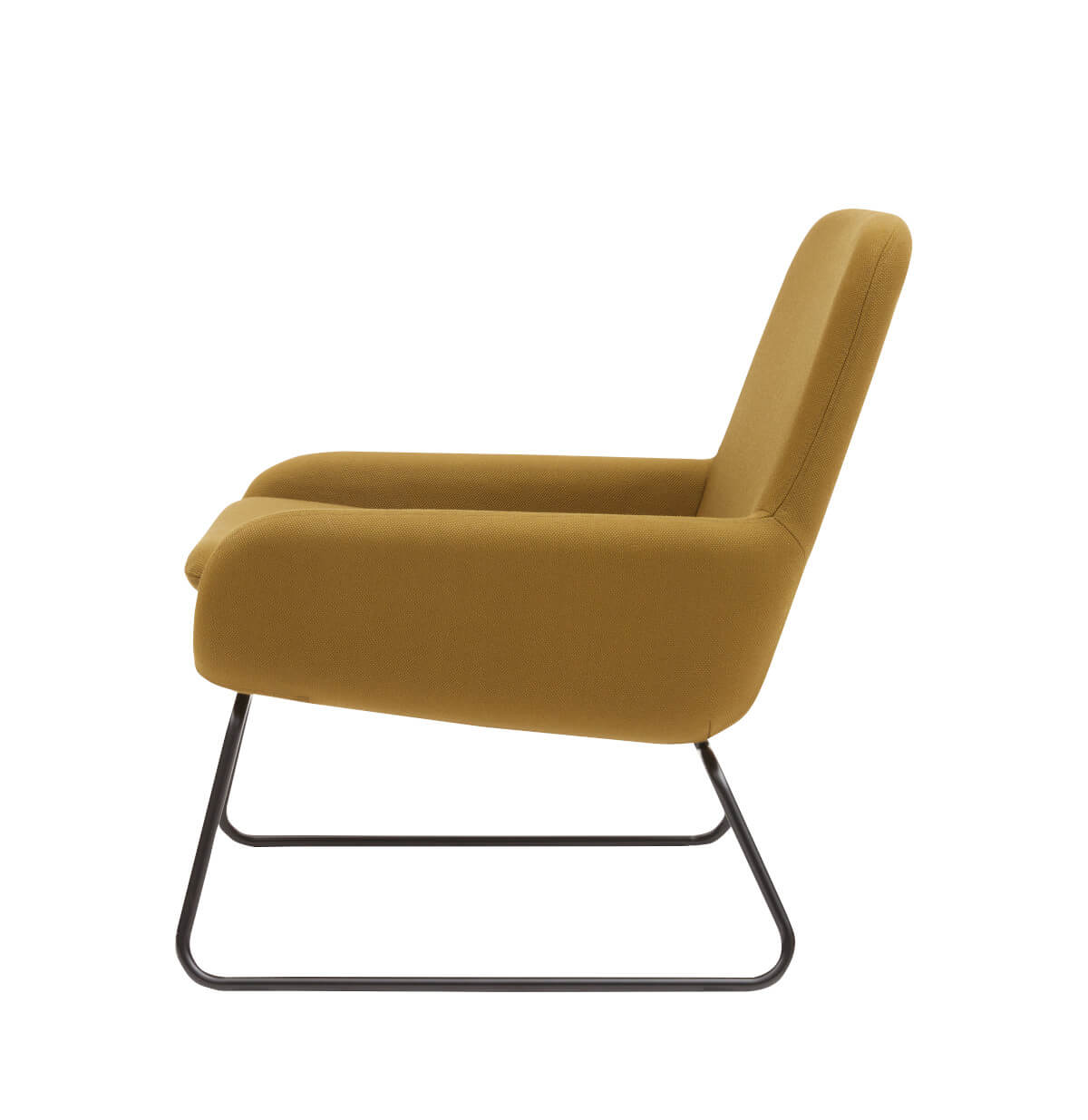 Coco Sessel Softline, moderner Lounge-Sessel mit bequemer Polsterung, ideal für Wohn- und Objektbereiche