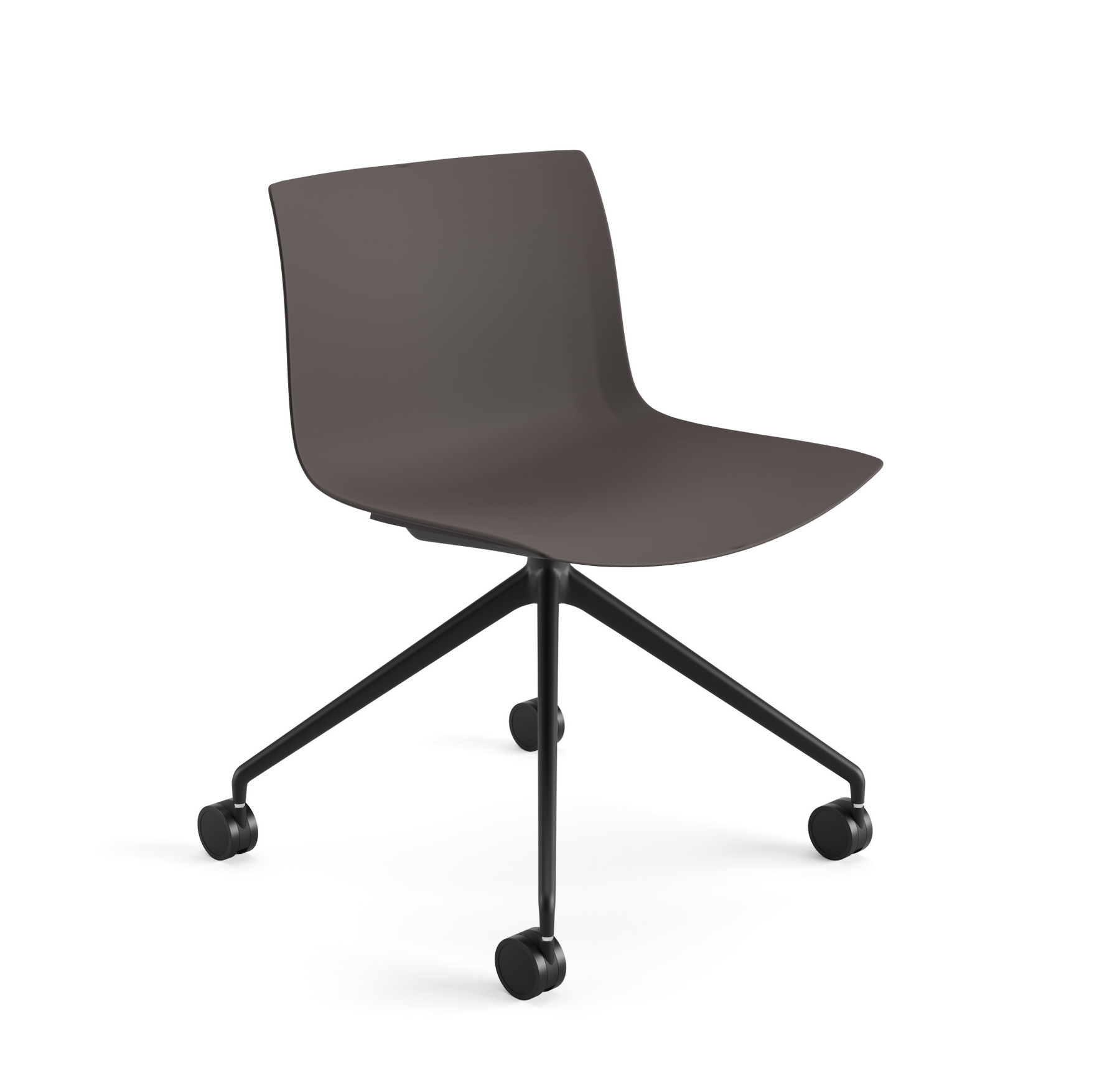 Catifa 53 Stuhl, einfarbig, schwarz / dunkelbraun #2055