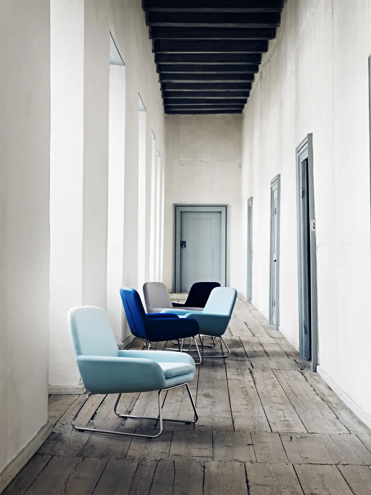 Mehrere Softline Coco Sessel in Hellblau, Blau, Grau und Schwarz in einem hellen Ambiente mit Holzboden, weißen Wänden und hohen Fenstern.