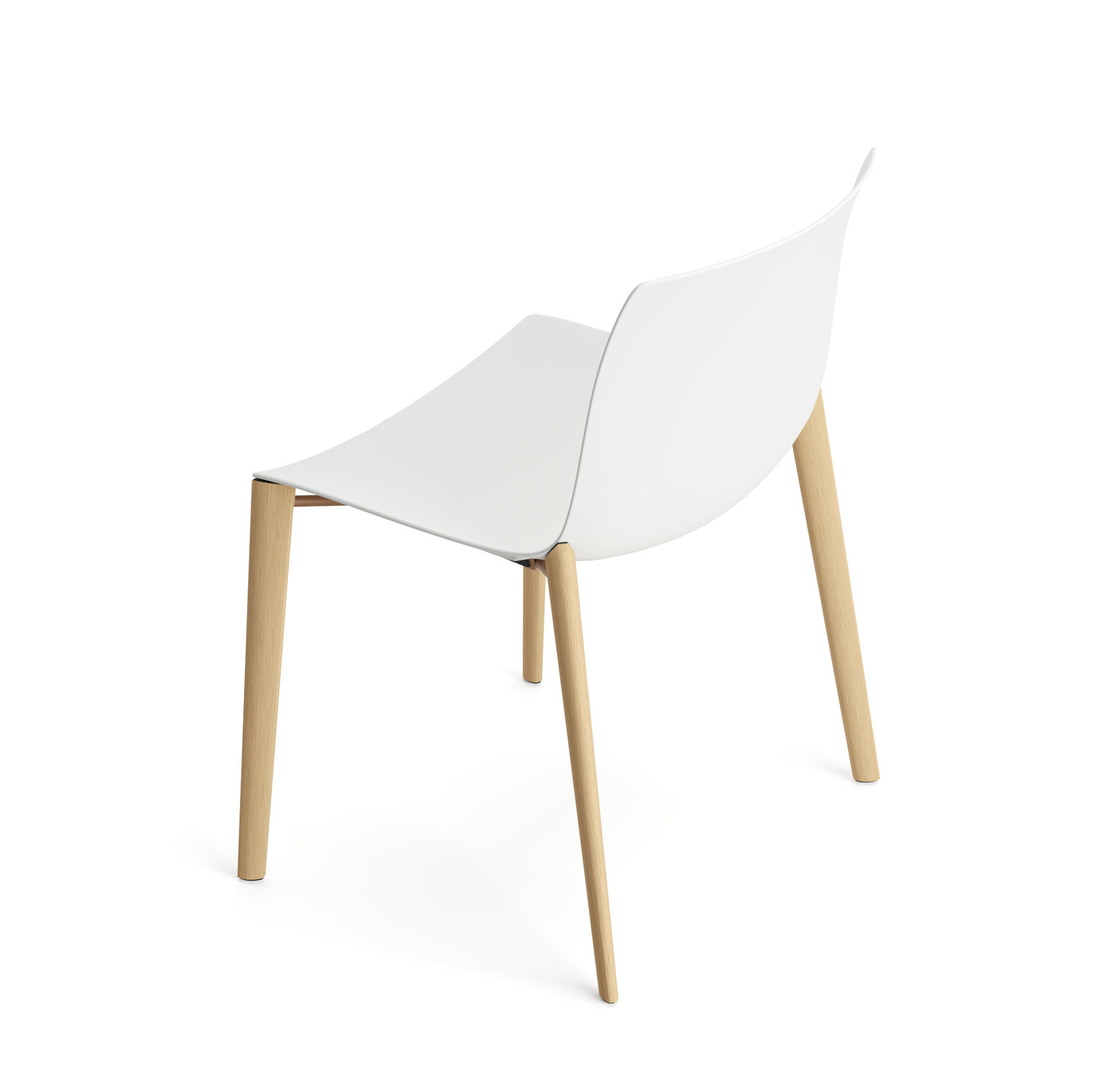 Catifa 53 Stuhl, einfarbig, eiche natur / weiß #2084