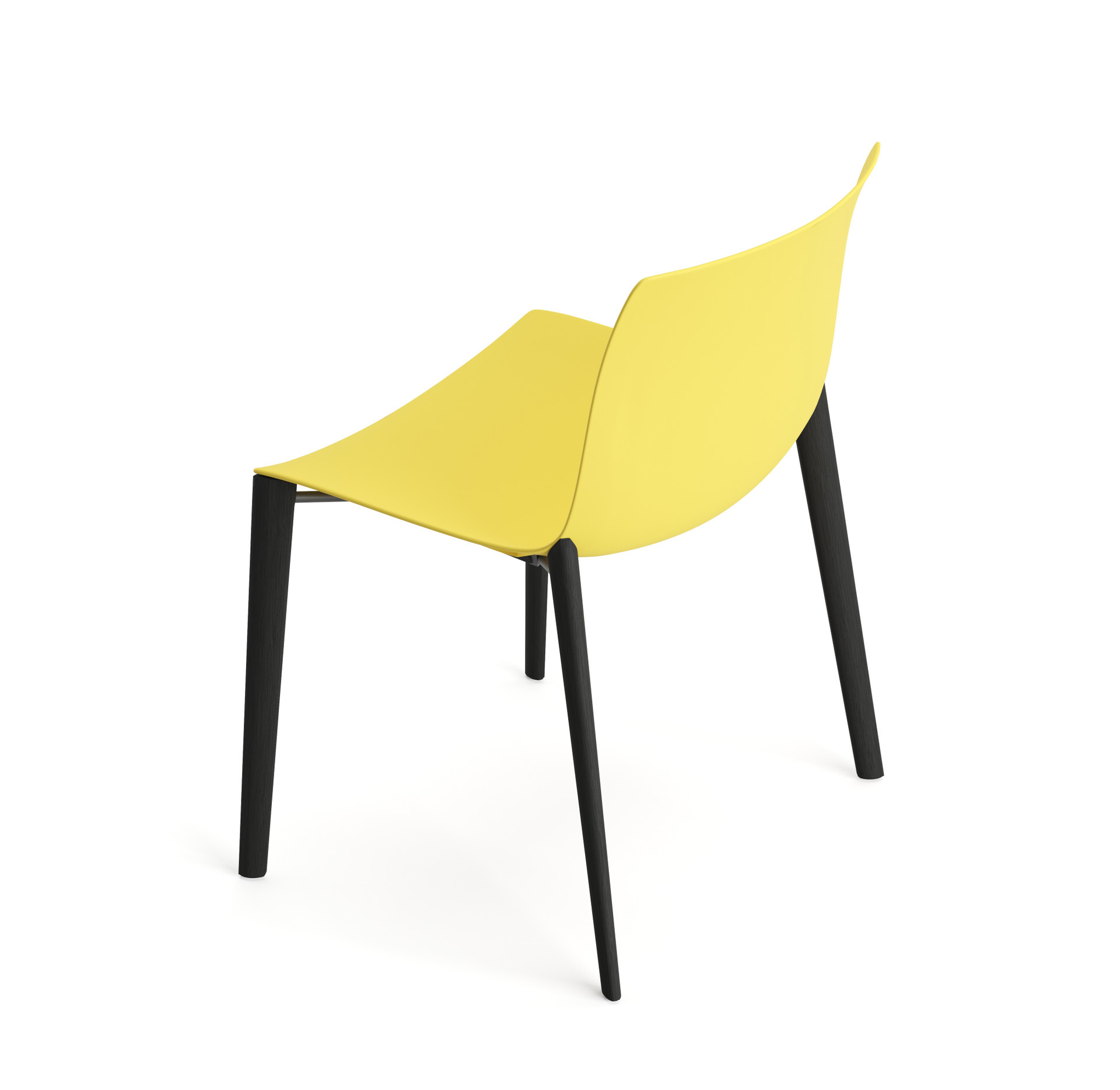 Catifa 53 Stuhl, einfarbig, wenge / gelb #2084